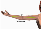 elbow_ext